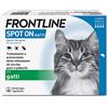 FRONTLINE Spot On, 4 Pipette, Gatto, Antiparassitario per Gatti e Gattini di Lunga Durata, Protegge da Zecche, Pulci e Pidocchi, Antipulci In Confezione da 4 Pipette da 0.5 ml