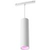 PHILIPS HUE Sospensione led Philips Hue Perifo cilindro singolo bianco-40750300 [14021000]