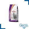 Gemon Cane Mini Adult con Salmone e Riso 3 Kg - 3 kg - 1 sacco