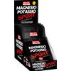 WHY SPORT Magnesio Potassio Sport 1 x 20 g Busta