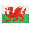 AZ FLAG Bandiera Galles 45x30cm - BANDIERINA Gallese 30 x 45 cm Poliestere Leggero