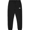 The North Face Essential Pantaloni Sportivi TNF Light Grey Heather XXL