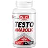 Why Sport Testo Anabolic 90cpr