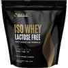 SELF OMNINUTRITION Iso Whey Lactose Free 1000Gr