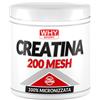 Why Sport Creatina 200 Mesh 200gr