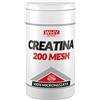 Why Sport Creatina 200 Mesh 500gr