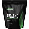 SELF OMNINUTRITION Real Creatine 250Gr.