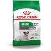 Royal Canin mini ageing +12 1,5 kg