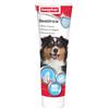 Beaphar Dentifricio per igiene orale - 100 gr - 1° ORDINE? scegli lo sconto BZR5 / BZR20 + 200 punti fedeltà