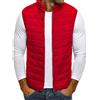 FRAUIT Piumino Uomo 100 Grammi Senza Cappuccio Smanicato Ragazzo Imbottito Trapuntato Senza Maniche Giubbotto Uomini Autunno Giacche Eleganti Particolari Giacca Parka Cappotto