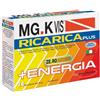 Mgk-vis Mgk vis ricarica plus 14 bustine