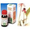 Echinacea 59 50ml tm
