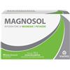 Magnosol 20 bustine effervescenti