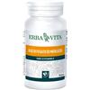 Erba vita Olio fegato merluzzo 100 perle 453 mg