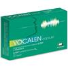 Vocalen 20 capsule