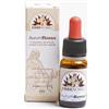 Aurumrosso 10 ml