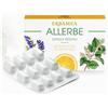 Erbamea Allerbe 24 capsule vegetali blister