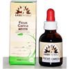 Fitoblasto ficus carica 50 ml