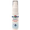 Quick penna disinfettante spray 10 ml