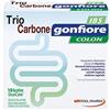 Triocarbone gonfiore ibs 10 buste duocam da 2 g + 1,5 g