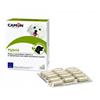 Camon Hybrid 30 compresse