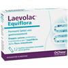 Laevolac equiflora 12 buste