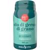 Erba vita Olio di germe di grano 90 perle