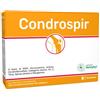 Condrospir 14 bustine
