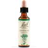Centaury bach orig 20 ml
