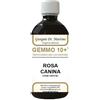 Gemmo 10+ rosa canina liquido analcolico 500 ml