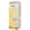 Giorgini Silicio olimentovis 200 ml