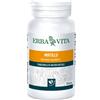 Erba vita Mirtillo 100 perle
