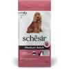 Schesir Dog Medium Adult con Prosciutto per Cani - Sacco da 12 kg