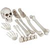 Relaxdays Ossa Finte, Set 12 Decorazioni per Halloween & Carnevale, Interno & Esterno, Mani, Piedi, Teschio, Horror, XXL