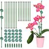 GEBETTER 16pz Bastoncini di Supporto Sostegno per Piante Rampicanti, 30cm e 20cm, Stecche Piante, Mini Tutori Verde Paletti per Fiori in Vaso Orchidee Pomodori