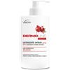 Vebi Istituto Biochimico VEBIX DERMOLINE MELOGRANO DETERGENTE INTIMO 500 ML