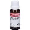 Dr.reckeweg & CO. Reckeweg R23 Gocce 22 ml