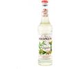 Monin Sciroppo Monin Zenzero