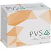inpha duemila Pvs34 buste