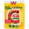 Winter vitamina c plus 1000 rosa canina + acerola 30 compresse masticabili