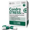 Condrostress (+) Cat Nuova Formula 30 Capsule