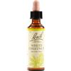 Bach 35 white chestnut 20ml