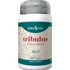 Erba Vita Tribulus 60 Capsule