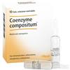 guna Heel Coenzyme Omeopatico Antiossidante 10 Fiale