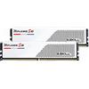 G.Skill DDR5 Ripjaws S5 2x16GB 5600MHz CL40 Bianco F55600J4040C16GX2RS5W F55600J4040C16GX2RS5W