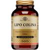 Lipo Colina 100 Capsule Vegetali