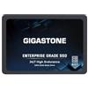 Gigastone Enterprise 1TB NAS SSD 24/7 High Endurance Business Server Homelab Network Attached Storage Cache RAID 2.5 SATA III Internal Solid State Drive 3D NAND SLC Cache Memory Expansion