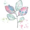 Sizzix 49 and Market - Stampi trasparenti A5 con foglie dipinte a matita