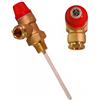 Generic Altecnic - Valvola limitatrice di pressione e temperatura, 10 bar, 1/2 Tpr15