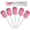 RHBHY Tamponi Dentali Monouso Tamponi Orali Bastoncini per la Pulizia del cavo Orale 80pz Spugnette per la Pulizia Della Bocca Steriliper per la Pulizia Della Bocca e dei Denti Pacchetto Individuale (Rosa)